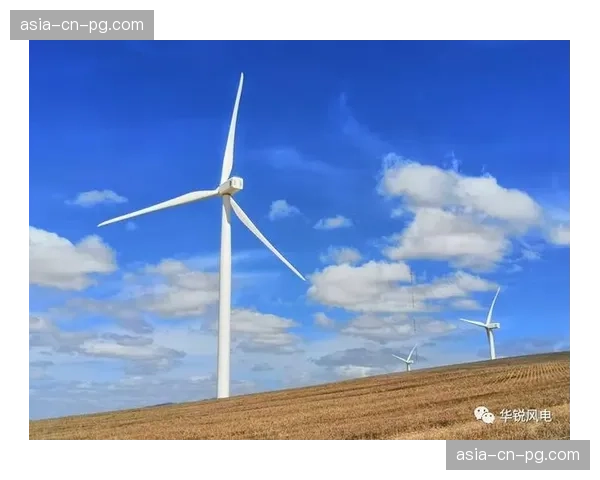 瓦希租借回归尼斯状态回暖,5场3球助雄鹰军团走出困境 瓦希租借回归尼斯状态回暖,5场3球助雄鹰军团走出困境